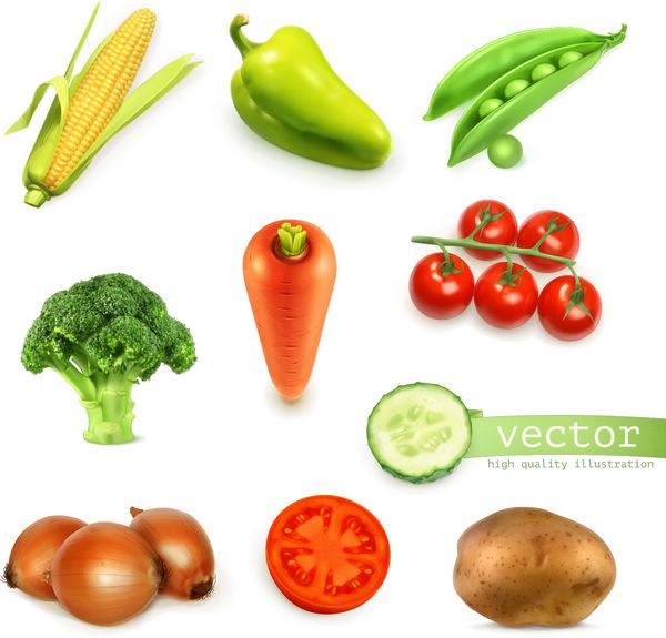 مجموعه ای از سبزیجات وکتور