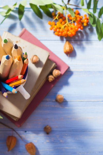 مفهوم کتاب مداد پشت مدرسه میوه پاییزی