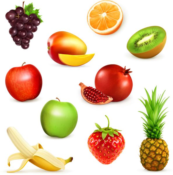میوه ها مجموعه ای از تصاویر وکتور