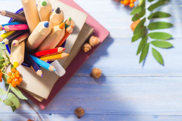 مفهوم کتاب مداد پشت مدرسه میوه پاییزی