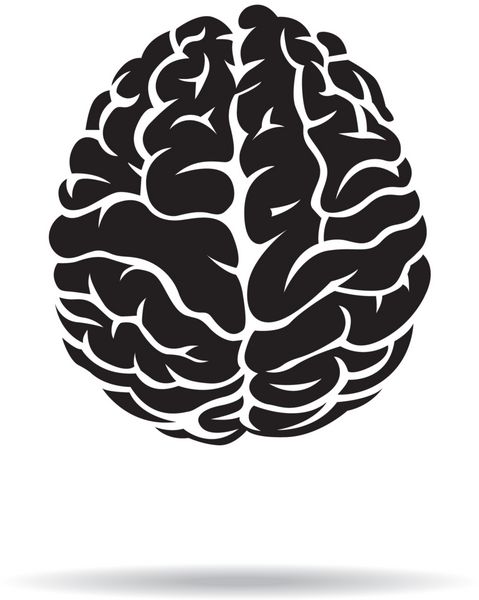 نماد مغز در زمینه سفید وکتور