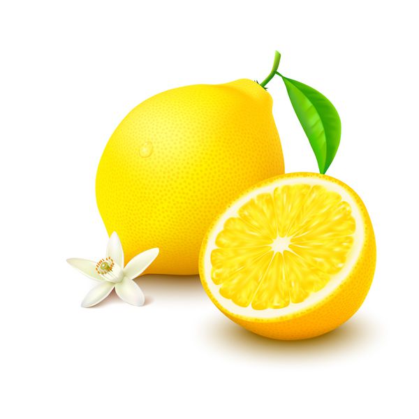 لیمو با نیم و گل در زمینه سفید