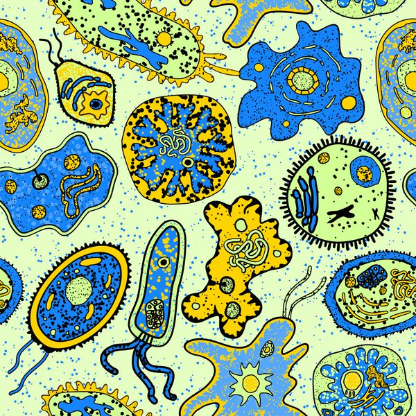 الگوی بدون درز آمیباس یا شکل حیات میکروبی