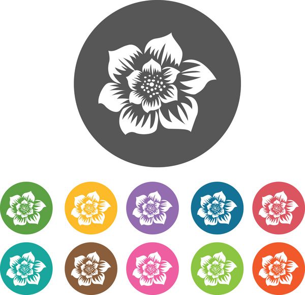 نماد ژربرا دیزی مجموعه آیکون گل 12 دکمه رنگارنگ گرد