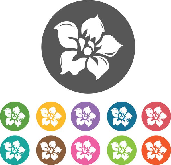 نماد نرگس مجموعه آیکون گل 12 دکمه رنگارنگ گرد Vec