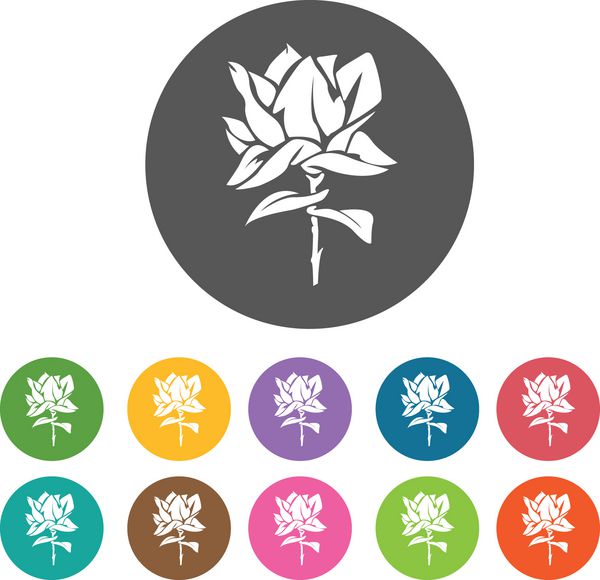 نماد رز مجموعه آیکون گل 12 دکمه رنگارنگ گرد بردار