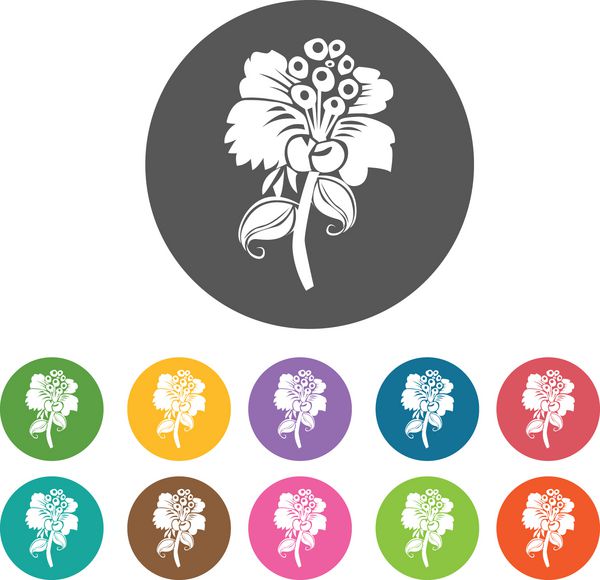 نماد اسطوخودوس مجموعه آیکون گل 12 دکمه رنگارنگ گرد Vec