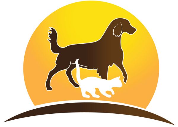 طراحی لوگو آیکون گربه سگ و خورشید