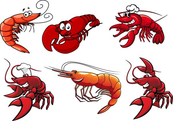 شخصیت های غذاهای دریایی میگو میگو و خرچنگ دریایی