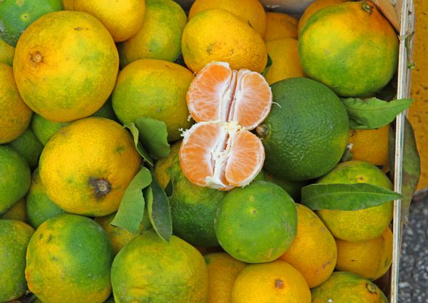نارنگی با پوست سبز از سیسیل برای فروش در بازار