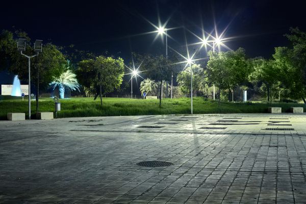 خیابان در شب در شهر جدید با نور و درختان