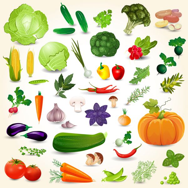 مجموعه ای از سبزیجات رسیده جدا شده گیاهان و ادویه جات قارچ