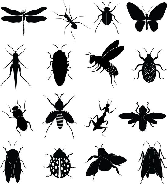 مجموعه آیکون های حشرات