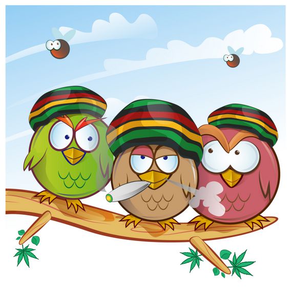 کارتون جغد جامائیکایی روی درخت