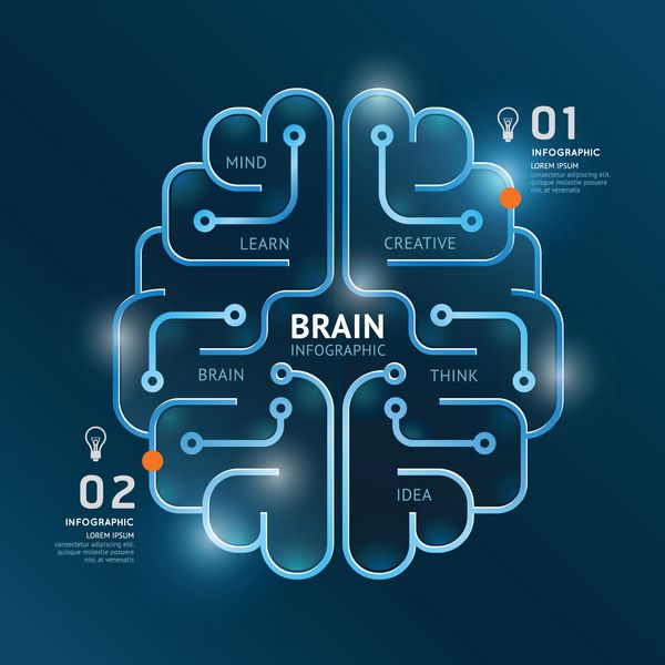 اینفوگرافیک وکتور طراحی مغز طرح بنر الگوی خط الگو