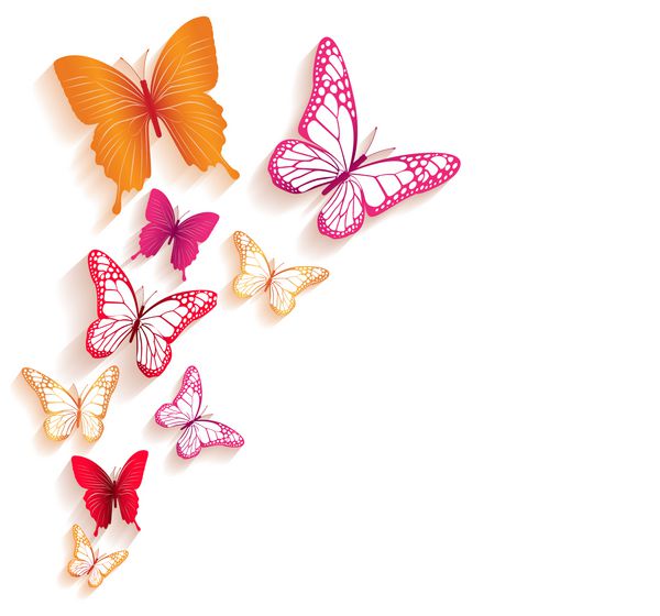 پروانه های رنگارنگ واقع بینانه ایزوله شده برای بهار