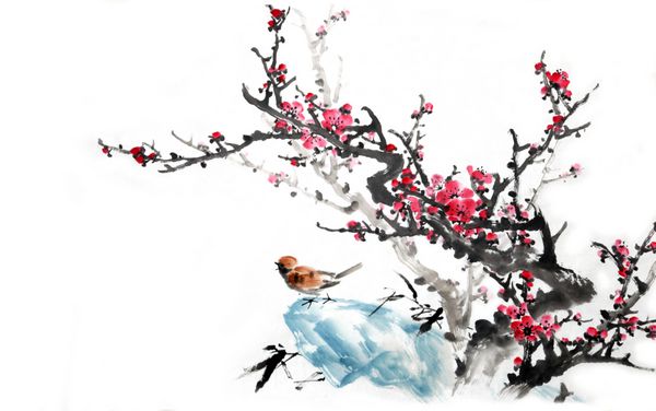 شکوفه آلو در زمینه سفید - نقاشی سنتی چینی