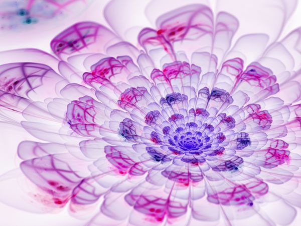 گل نرم و ملایم طراحی هنری سه بعدی فراکتال