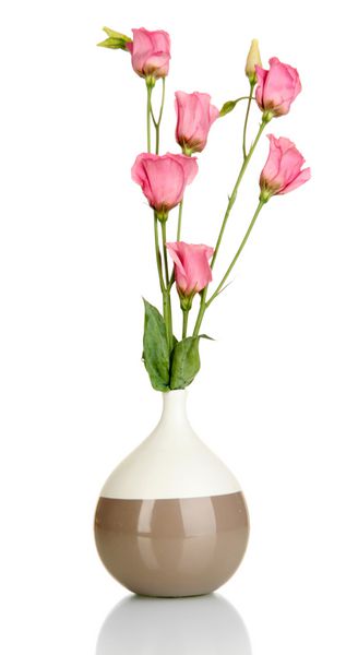 دسته گل ایوستوما در گلدان جدا شده روی سفید