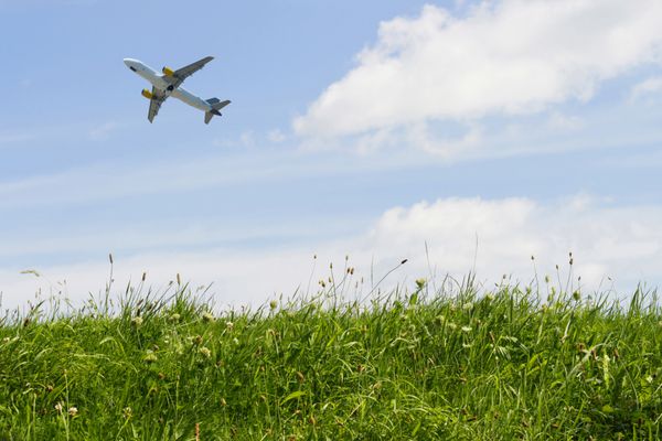 هواپیما در تابستان در آسمان آبی بر فراز چمن سبز پرواز می کند