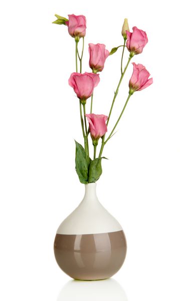دسته گل ایوستوما در گلدان جدا شده روی سفید