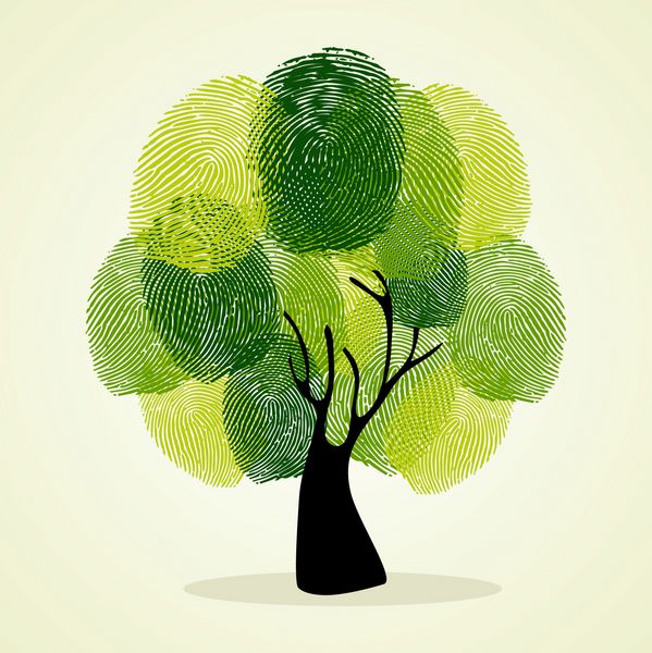 برو تصویر اثر انگشت درخت هویت سبز فایل وکتور لایه لایه برای دستکاری آسان و رنگ آمیزی سفارشی