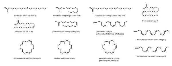 اسیدهای چرب غیر اشباع مجموعه الایدیک میریستولئیک واسنیک اروسیک اولئیک پالمیتولئیک آراشیدونیک آلفا-لینولنیک گاما-لینولنیک لینولئیک و ایکوزاپنتانوئیک اسید