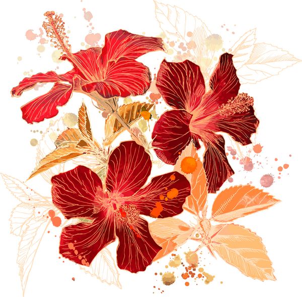 گل هیبیسکوس - وکتور رنگ آبرنگ عناصر در لایه های جداگانه