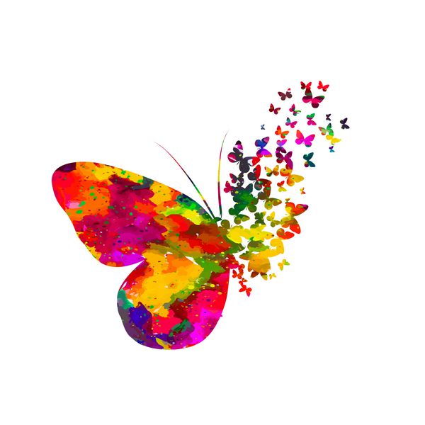پروانه آبرنگ انتزاعی رنگارنگ در پس زمینه سفید بردار