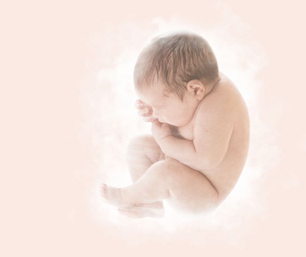 نوزاد تازه متولد شده نوزاد تازه متولد شده در ماه نهم جنین جنین انسان مفهوم جنین متولد نشده