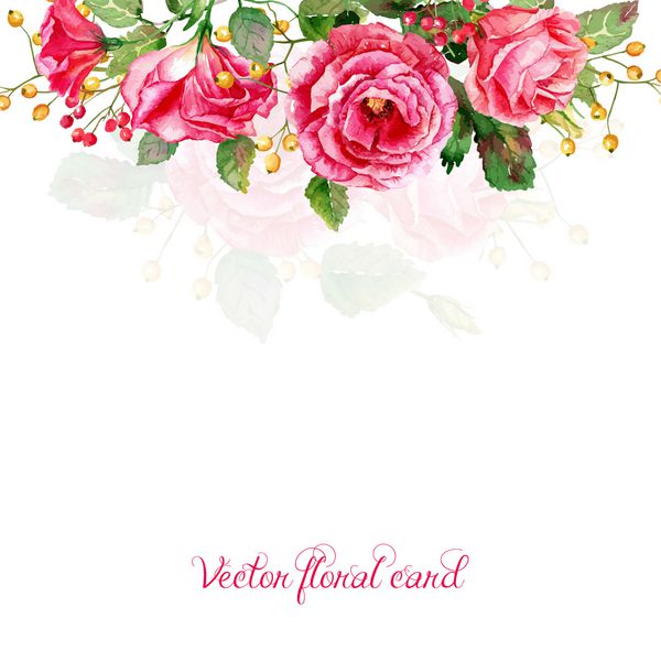 قاب وکتور قرمز گل رز آبرنگ کارت پستال های قدیمی گل