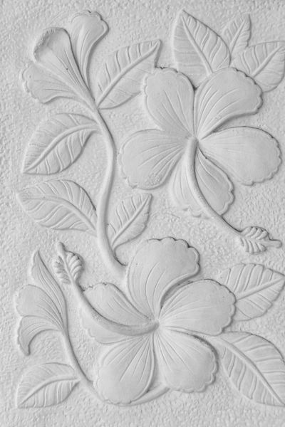 کتیبه سنگ سفید از رز چینی هیبیسکوس هاوایی و پس زمینه گل کفش