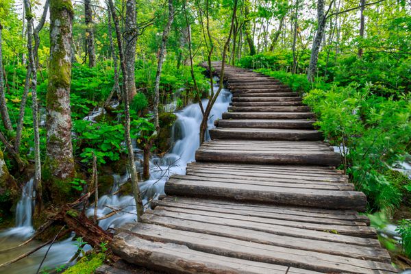 مسیر جنگلی تابستانی در پارک ملی Plitvice-کرواسی