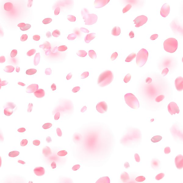 الگوی بدون درز پس زمینه بهار سبک زیبا با گلبرگ های صورتی رنگ ساکورا - درخت گیلاس ژاپنی کاغذ دیواری سفید عاشقانه گلدار وکتور