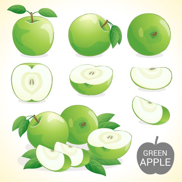 مجموعه میوه سیب سبز با برگ در وکتور و سبک های مختلف