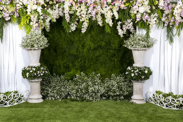 پس زمینه گل های زیبا برای صحنه عروسی
