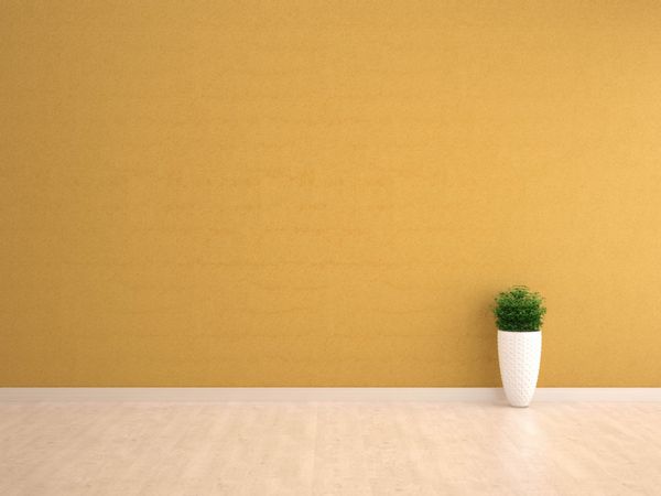 دیوار داخلی زرد با گلدان گیاهی روی کف چوبی