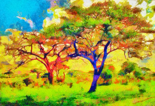 درختان رنگارنگ نقاشی رنگ روغن منظره افریقایی امپرسیونیست