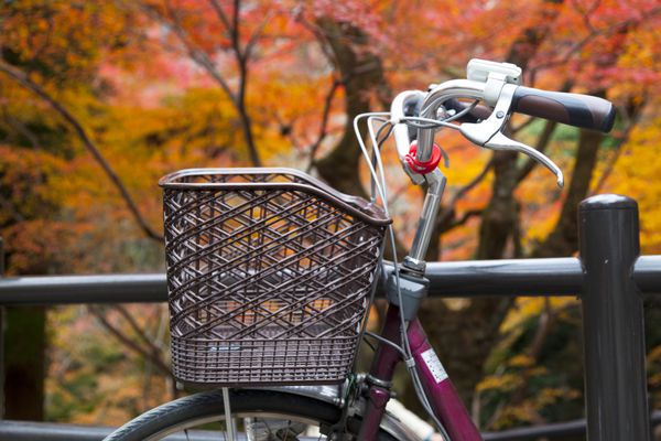 دوچرخه ها در پارک شده با برگ های پاییزی استراحت کردند