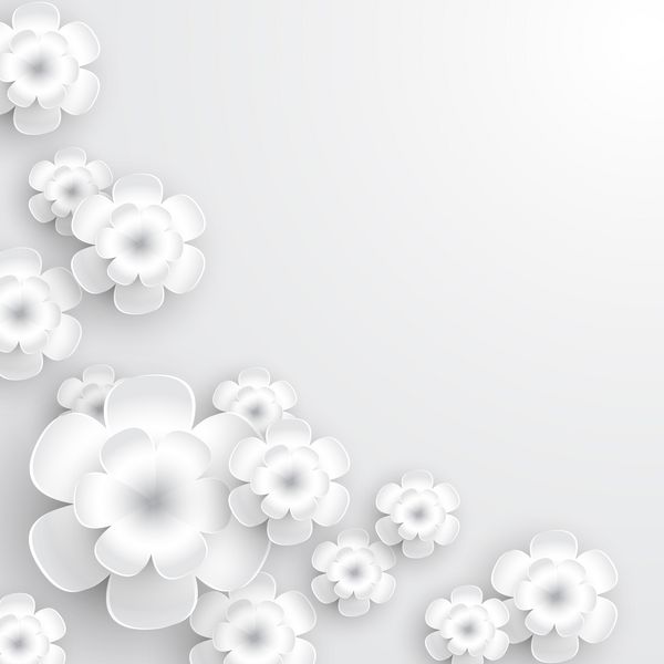 گل های کاغذی سفید