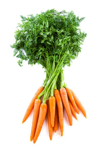 یک دسته هویج تازه با رویه سبز جدا شده بر روی یک سفید