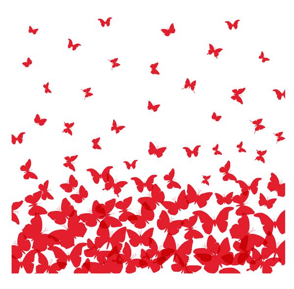 طرح کارت بهار تابستان بنر پروانه قرمز در پس زمینه سفید بردار