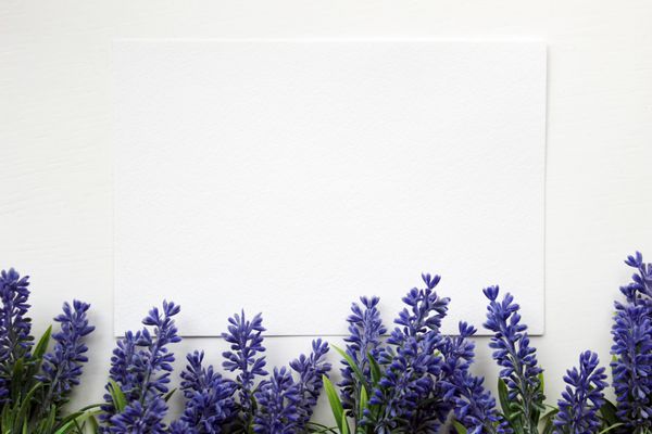 ماکت با گل های اسطوخودوس مصنوعی و کاغذ خالی ماکت سبک وینتیج برای کارهای طراحی