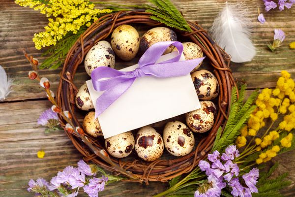 عید پاک مبارک تاج گل عید پاک و یک کارت تبریک خالی با pl برای متن شما تزئینات عید پاک روی موج سواری چوبی نمای بالا