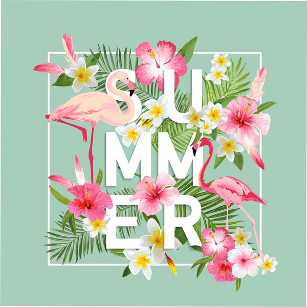پس زمینه گل های استوایی طراحی تابستانی بردار فلامینگو گرافیک مد تی شرت خارجی