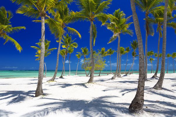 تالاب های فیروزه ای جزیره گرمسیری ماسه سفید ساحل pl زیبا برای ترمیم نیروها استراحت آبزیان آفتاب گرفتن و حمام کردن آب دریا گرم نخل نسیم