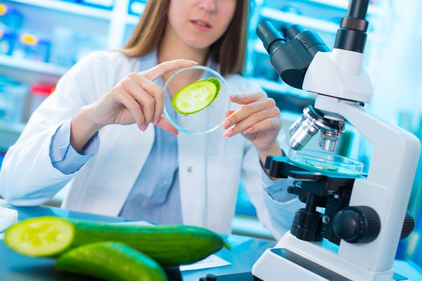 کنترل کیفیت محصولات غذایی زن جوان در آزمایشگاه شیمی تست خیار