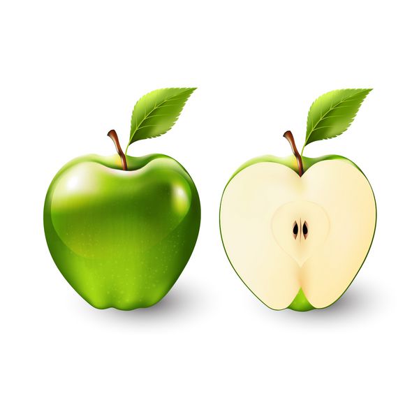 سیب سبز و نیم سیب میوه ای شفاف وکتور