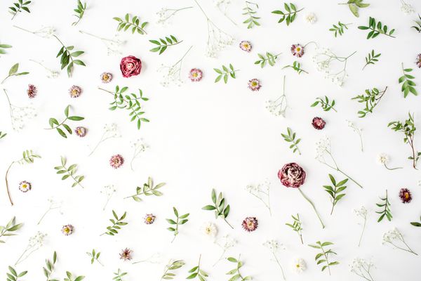 قاب با رزهای صورتی شاخه ها برگ ها و گلبرگ های جدا شده در زمینه سفید تخت خوابیده نمای بالای سر