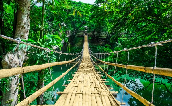 پل معلق عابر پیاده بامبو بر روی رودخانه در جنگل های استوایی بوهول فیلیپین آسیای جنوب شرقی